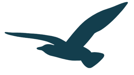 Decorative seagull